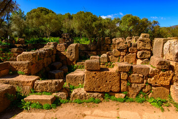 Nature and ruins of Tipasa, a colonia in Roman province Mauretania Caesariensis, nowadays Algeria....