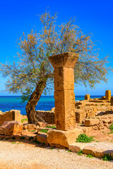 Nature and ruins of Tipasa, a colonia in Roman province Mauretania Caesariensis, nowadays Algeria....
