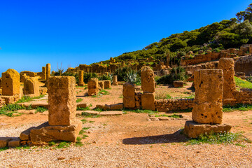 Nature and ruins of Tipasa, a colonia in Roman province Mauretania Caesariensis, nowadays Algeria....