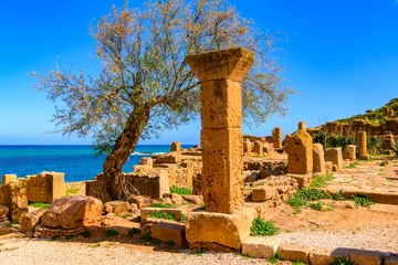 Gordijnen Tipasa, a colonia in Roman province Mauretania Caesariensis, nowadays Algeria. UNESCO World Heritage Site © Anton Ivanov Photo