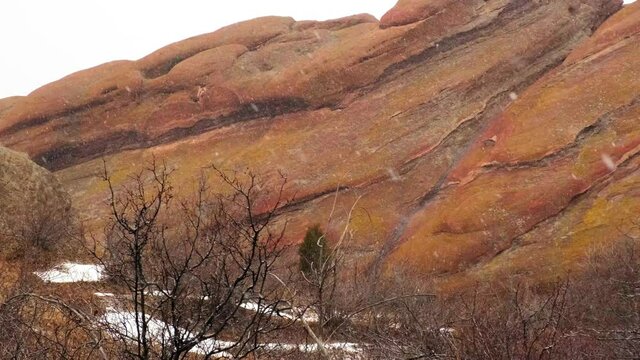 Scenic winter landscape with white snow falling on red rock geological formation sheet and dormant brown tree in foreground on cold cloudy day, peaceful concept, slow pan right
