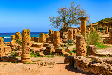 Nature and ruins of Tipasa, a colonia in Roman province Mauretania Caesariensis, nowadays Algeria....