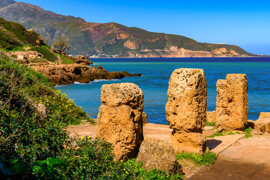 Nature and ruins of Tipasa, a colonia in Roman province Mauretania Caesariensis, nowadays Algeria. UNESCO World Heritage Site