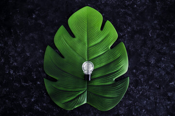ideas for ecology and the environment concept, lightbulb on top of tropical leaf