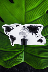 ideas for ecology and the environment concept, lightbulb and world map on top of tropical leaf