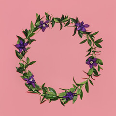 Beautiful and tender wreath frame of fresh leaves and violet flowers on pink background. Flat lay style. Square crop. Copy space.
