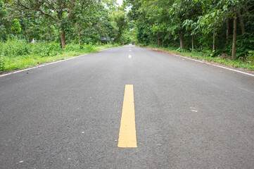 A road without a car and a green forest beside the road