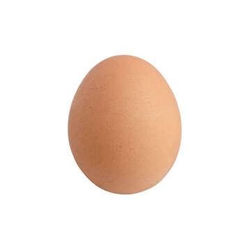 Raw chicken egg isolated on the white background