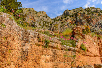 Obraz premium It's Delphi, an archaeological site in Greece, at the Mount Parnassus. Delphi is famous by the oracle at the sanctuary dedicated to Apollo. UNESCO World heritage