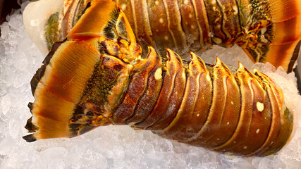 Fresh lobstertail on ice being displayed at grocery store.