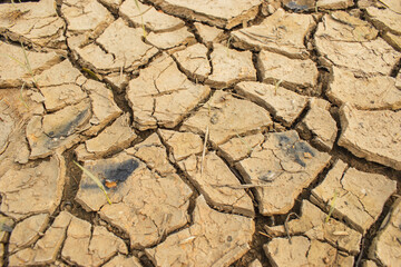 Crack dried soil in drought, Affected of global warming made climate change. Water shortage and drought concept.