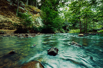 Nature