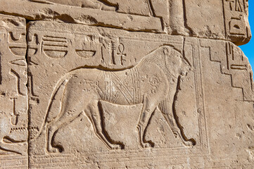 It's Lion - Ancient Hieroglyphs of the Karnak temple, Luxor, Egypt (Ancient Thebes with its...