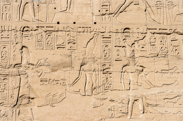 Fototapeta na wymiar It's Frieze in the Precinct of Amun Re, the Karnak temple, Luxor, Egypt (Ancient Thebes with its Necropolis). UNESCO World Heritage site