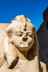 It's Colossus inside Luxor Temple, a large Ancient Egyptian temple, East Bank of the Nile, Egypt. UNESCO World Heritage