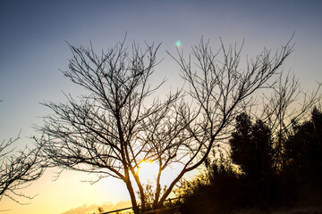Fototapeta na wymiar A park on Naoshima where the sun's beautiful rays shine in the evening_03