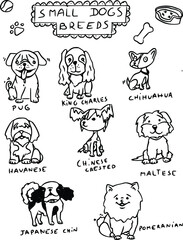 Fototapeta premium Different small breads dogs doodle by artist leachefson