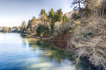 River landscape in sunny day. Siletz river in Oregon
