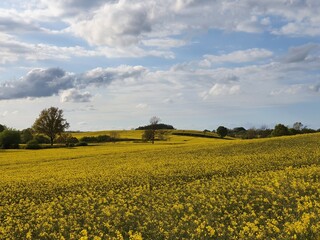 Frühling in Schleswig Holstein