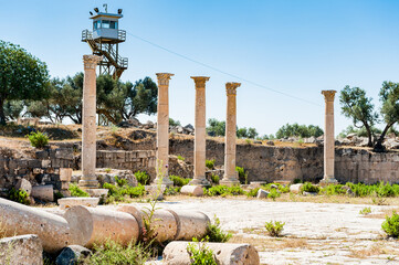 Fototapeta na wymiar It's Roman colums of the ancient city of Gadara, modern Jordan