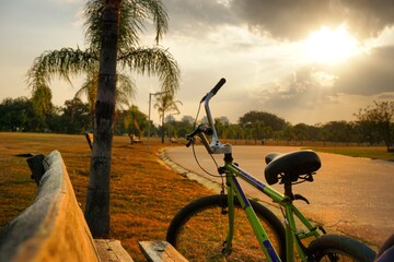 Fototapeta na wymiar Bike in the park São Paulo