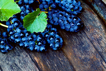 Grape on a wooden barrel. Macro image.