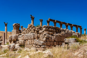 It's Ruins of Gerasa, modern Jerash, Jordan