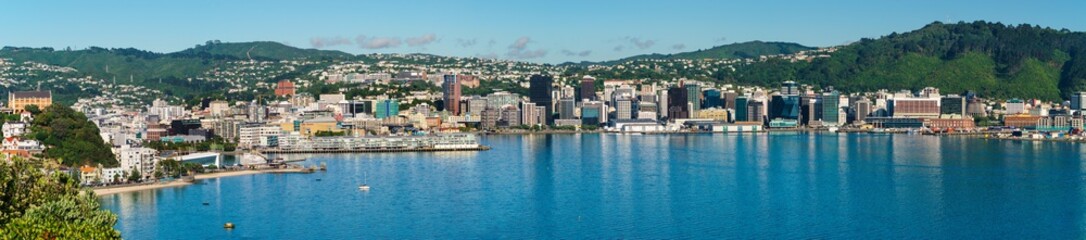 Fototapeta na wymiar Wellington, New Zealand. Morning view of Wellington city buildings and harbour viewed from Mount Victoria. Wellington is the Capital of NZ.