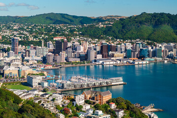Wellington, New Zealand. Morning view of Wellington city  buildings and harbour viewed from Mount...