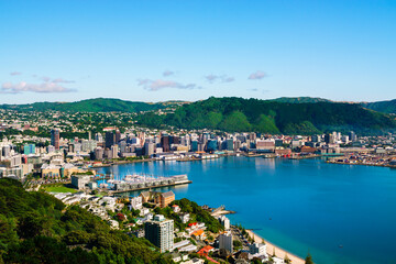 Wellington, New Zealand. Morning view of Wellington city  buildings and harbour viewed from Mount Victoria. Wellington is the Capital of NZ.