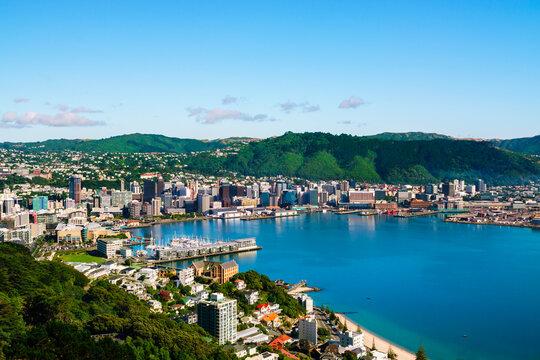 Wellington, New Zealand. Morning view of Wellington city  buildings and harbour viewed from Mount Victoria. Wellington is the Capital of NZ.