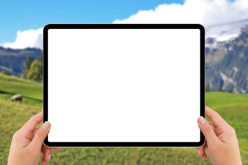 Two hands holding white screen mockup tablet computer, cow in Switzerland mountain village