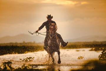 Silhouette Cowboy on horseback. Ranch