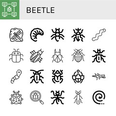 beetle icon set