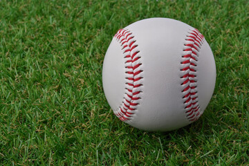 Baseball on green grass with copy space.