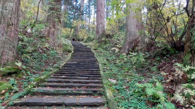 Walking along steep stone stairs in Haguro Mountain in the Fores. Japan
