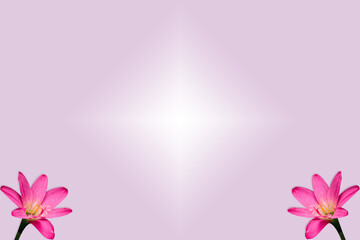 Abstract light purple background with pink flowers