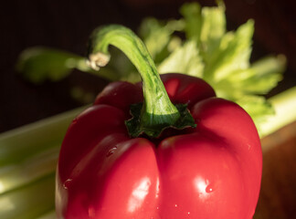 Fresh sweet red pepper and fresh green salad lit by the sun