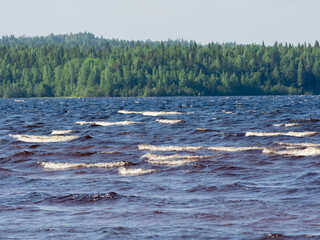 Obraz premium Waves with white foam on a lake with shallow depth in a sunny, windy day in Karelia, northwest of Russia