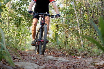 Mountain Biking on a trail in the forest in summer. Male cycling MTB on footpath.