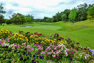 Fototapeta na wymiar 花壇のビオラやペチュニアが満開で彩を添えているきれいなゴルフコース