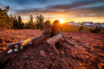Sunset burst with mountain background