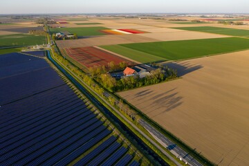 Aerial view of Dutch agricultural landscape with green fields, tulip fields in distance