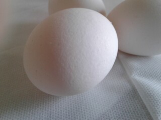 eggs on a white background
