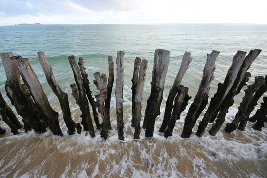 Empalizada en normandia