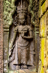 Fototapeta na wymiar It's Part of the Ta Prohm (Rajavihara), a temple at Angkor, Province, Cambodia. It was founded by the Khmer King Jayavarman VII as a Mahayana Buddhist monastery and university.