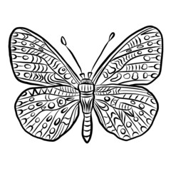 Butterfly. Hand drawn Coloring pages with pattern, illustration for adult anti stress. Coloring books or tattoos with high details isolated on white background. Vector monochrome sketch