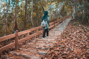 A hijab girl up the stairs in the middle of the forest in Sumbawa, Indonesia