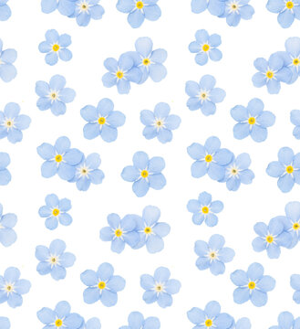 Small Blue Flower On A White Background. Seamless Pattern
