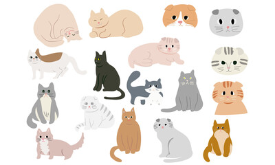 Funny and cute cartoon Cat different breeds vector illustration set